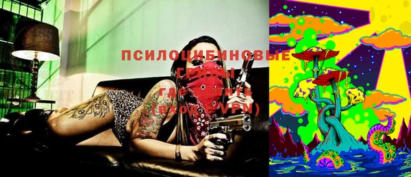 не бодяженный Алексин