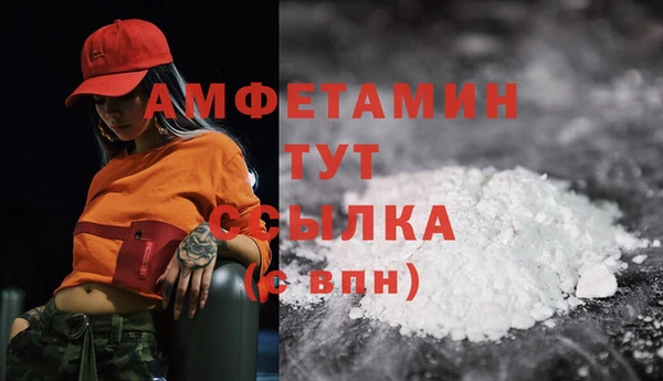 гашик Алзамай
