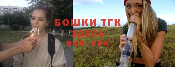 прущий лед Алексеевка